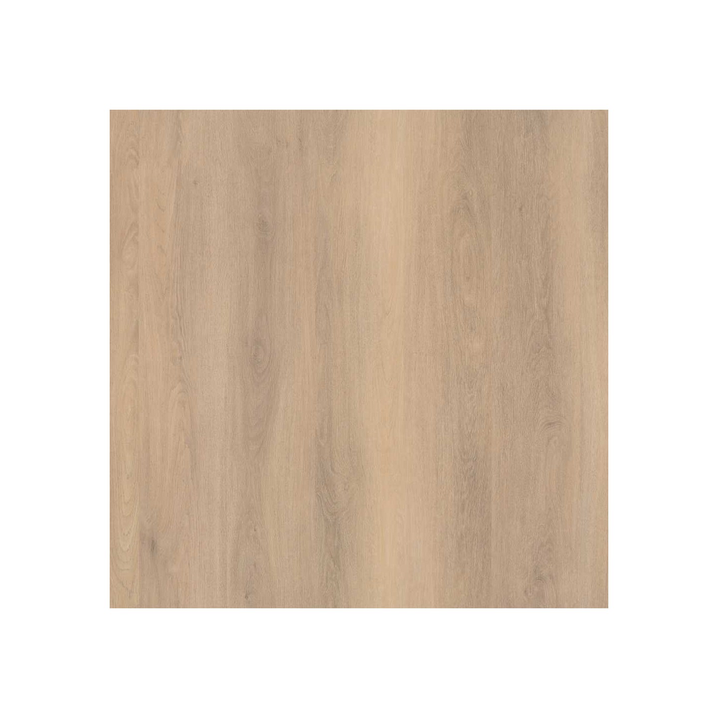 Lavanta blond eiken
