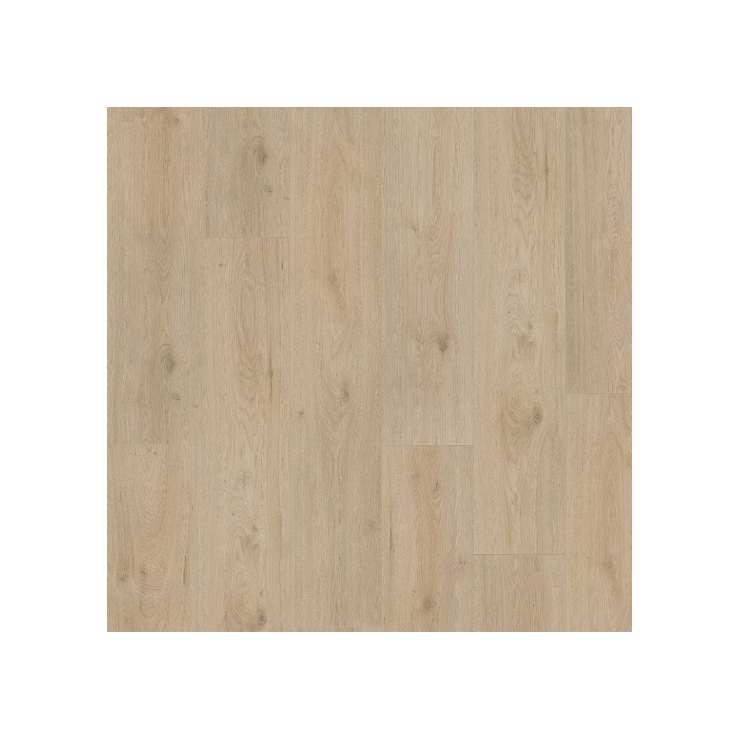 Surprise millenium oak SP885