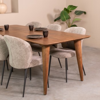 Eetkamertafel Fly - Nature - Mangohout - 220x100 cm