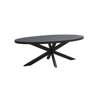 Eetkamertafel Kala Oval Spider 210 cm