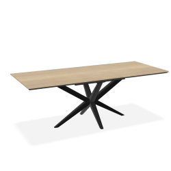 Eetkamertafel Mars | Recht verjongd | Uitschuifbaar | Lamulux